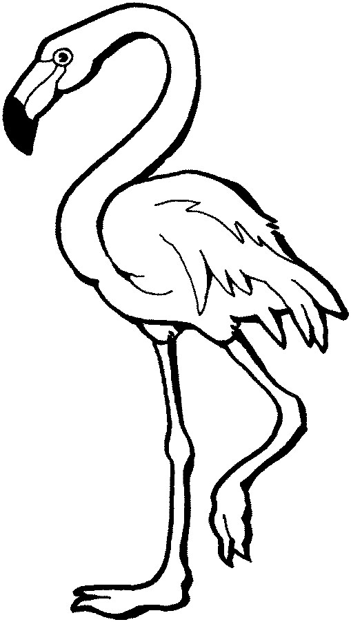 Flamingo coloring pages