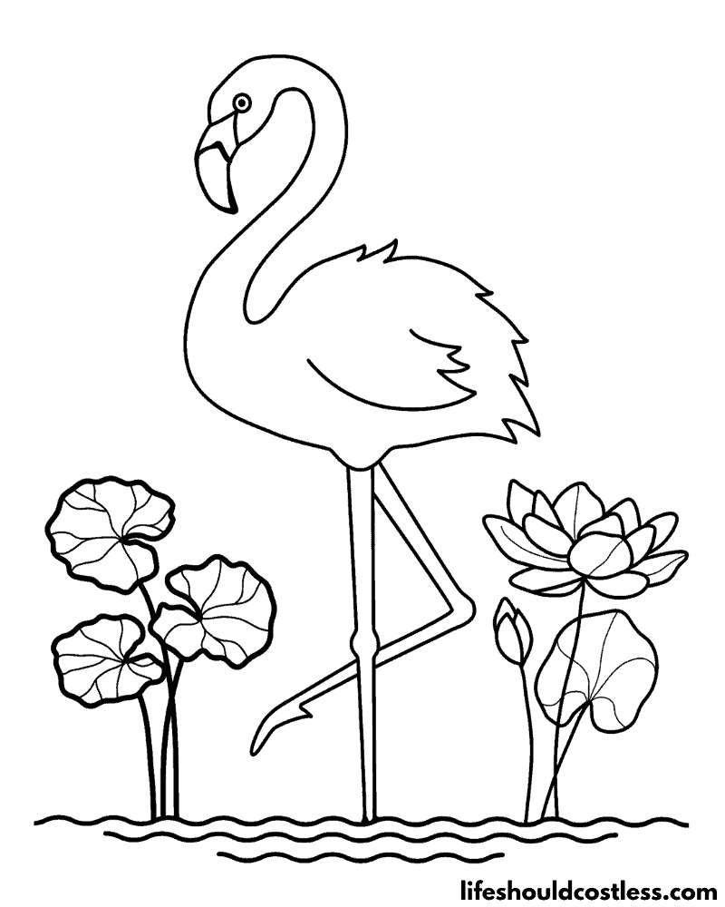 Flamingo coloring pages free printable pdf templates