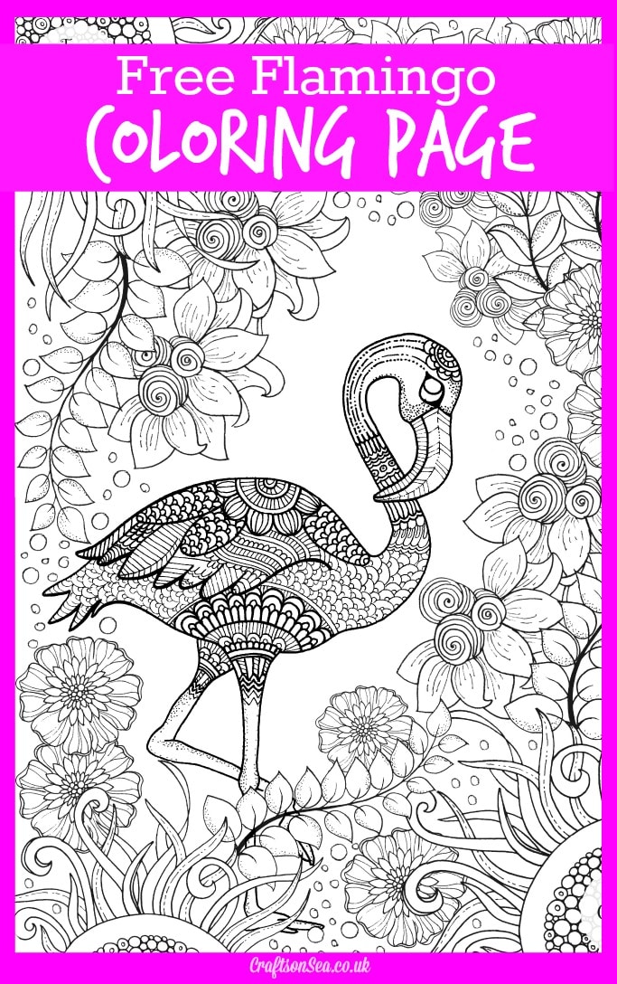 Free flamingo louring page for adults