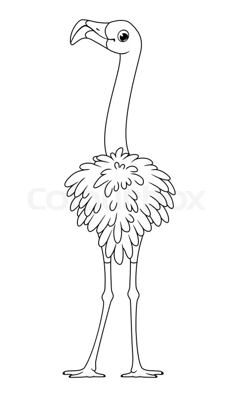 Bird greater flamingo coloring page outline vector cartoon illustration stock vector