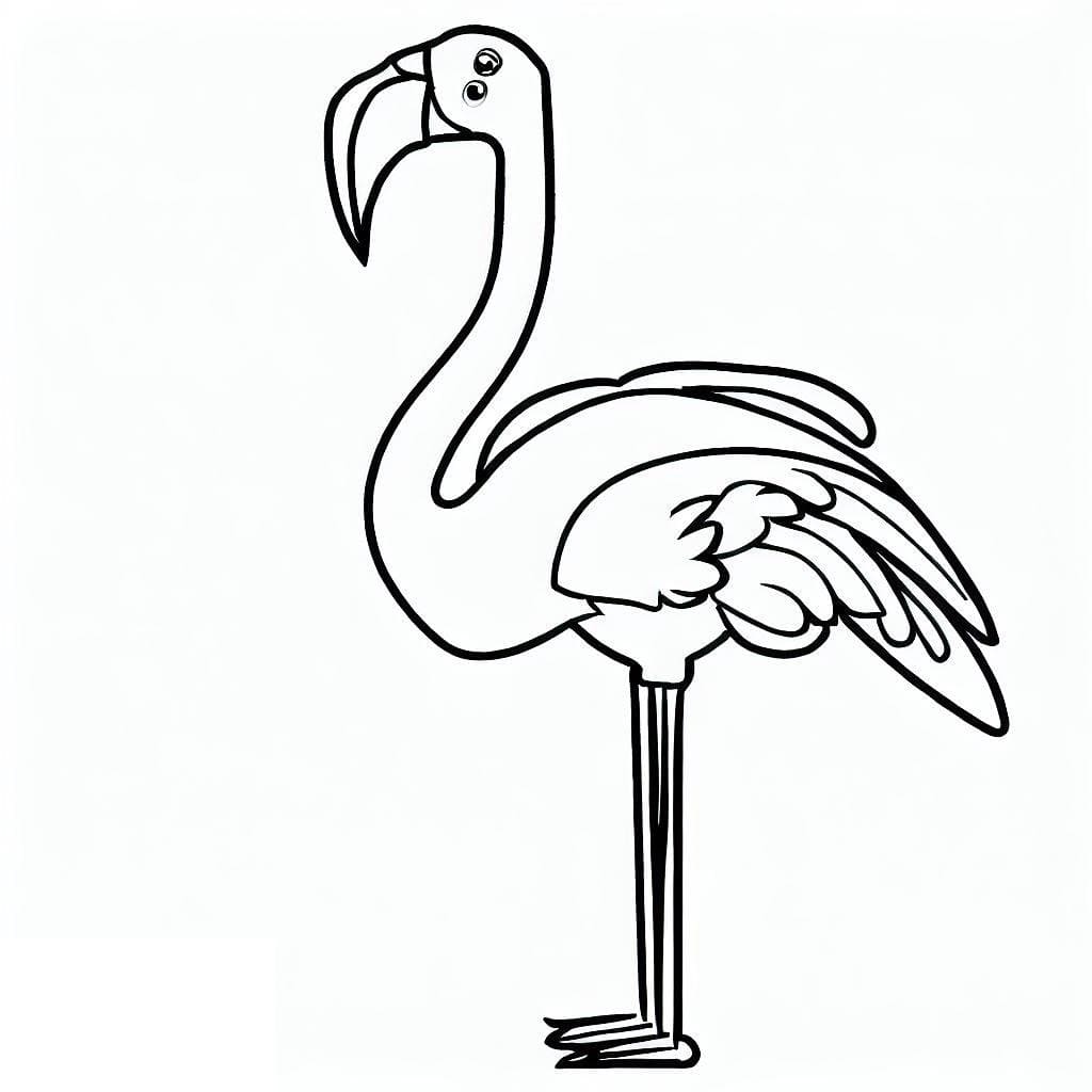 Flamingo coloring pages