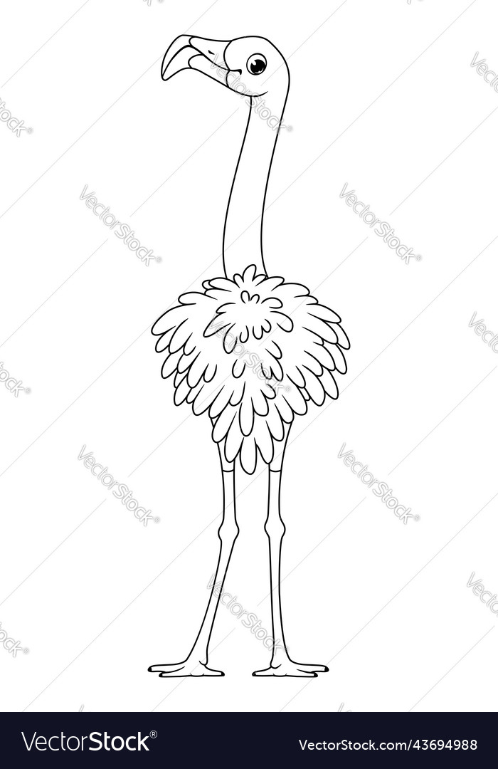 Cartoon bird greater flamingo coloring page vector image