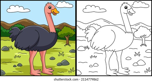 Ostrich coloring page images stock photos d objects vectors