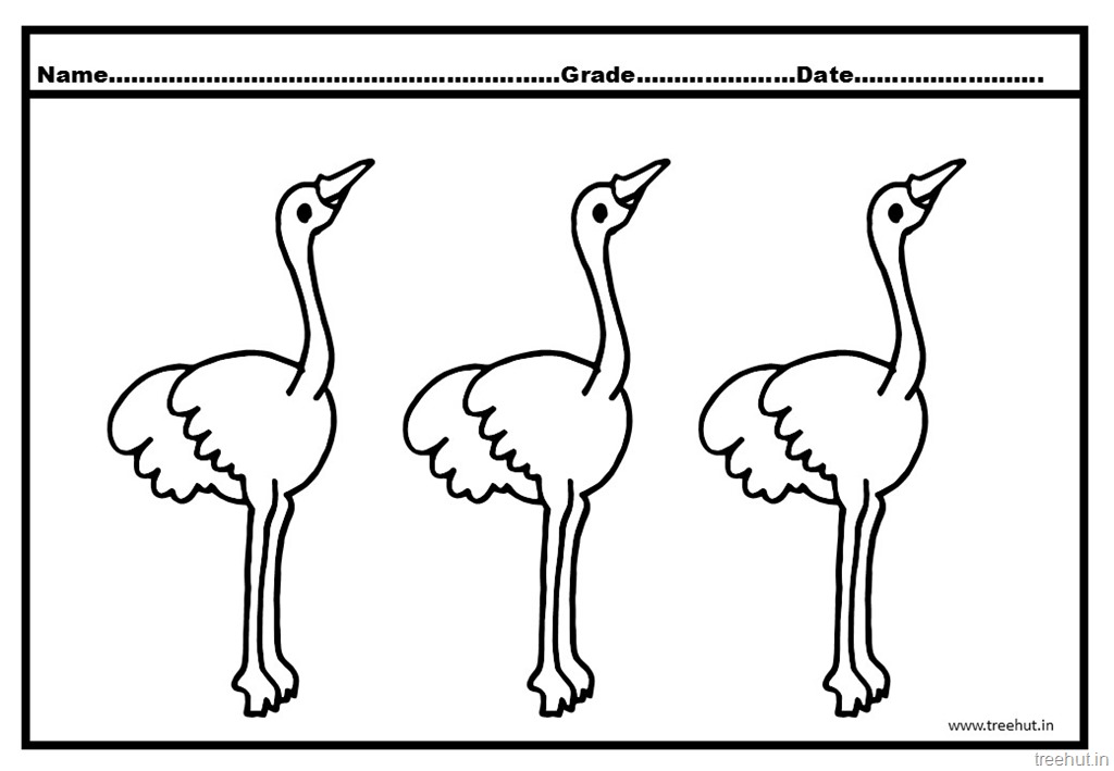 Ostrich colorg pages