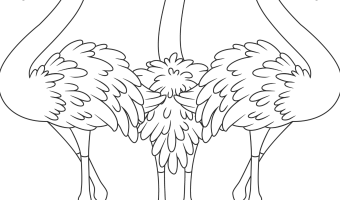 Flamingo coloring pages two kids and a coupon