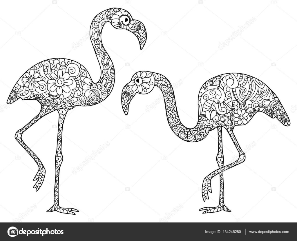 Two flamingos coloring vector for adults stock vector by toricheksgmail