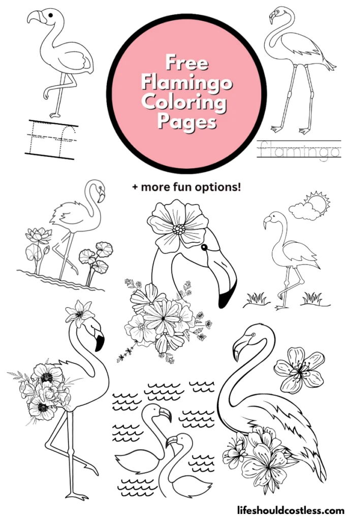 Flamingo coloring pages free printable pdf templates