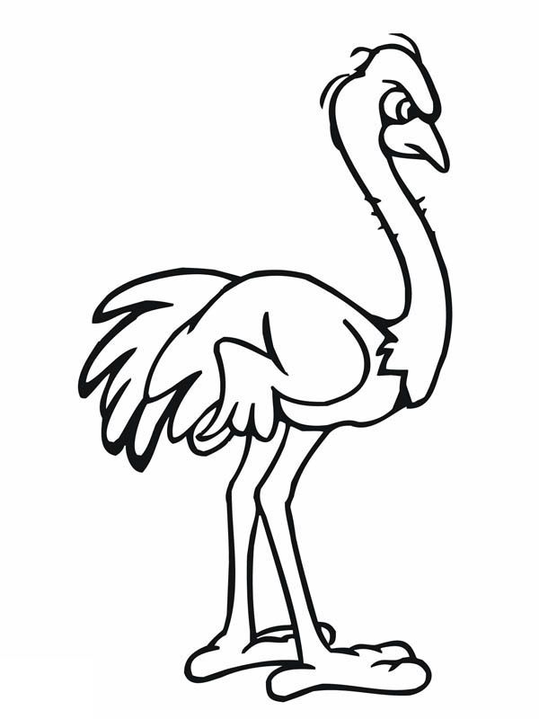 Angry ostrich coloring page color luna coloring pages coloring pictures ostrich