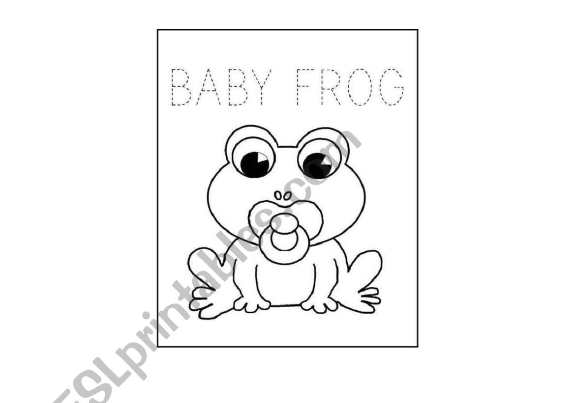 The family frog
