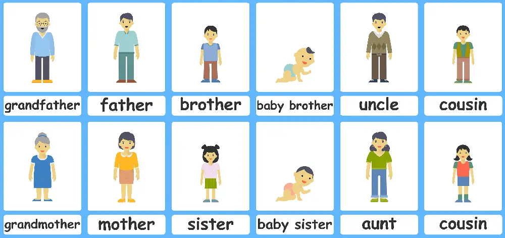 Family flashcards