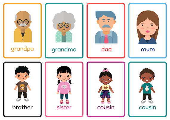 Colorful illustrative english family flashcards toddler flash cards homeschool montessori materials