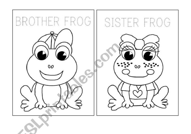 The family frog