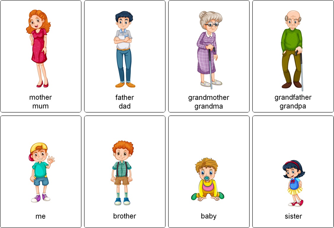 Family members vocabulary
