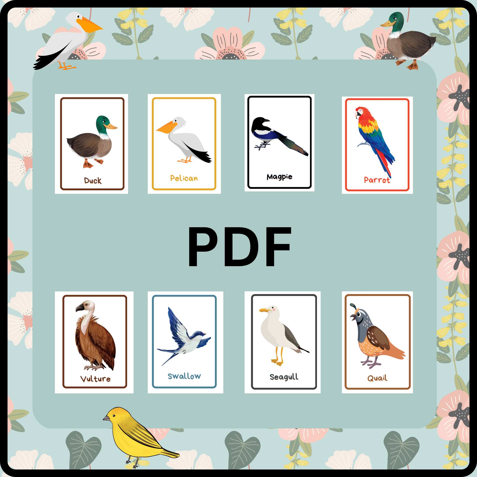 Spring activities printable cute and funny birds identification flashcards made by teachers