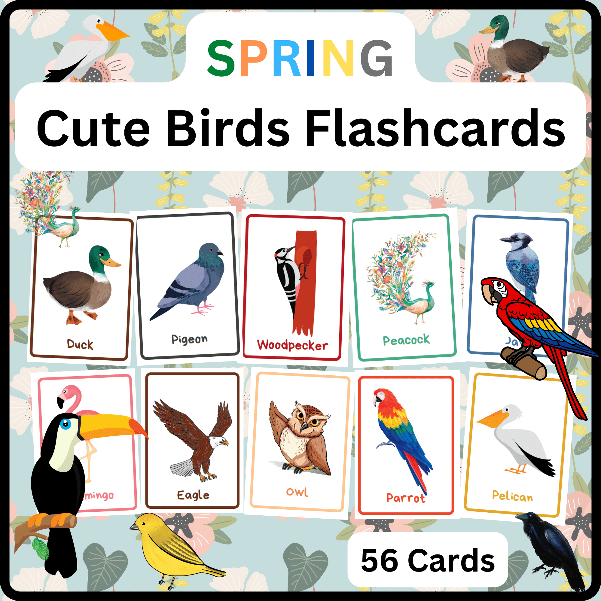 Spring activities printable cute and funny birds identification flashcards made by teachers