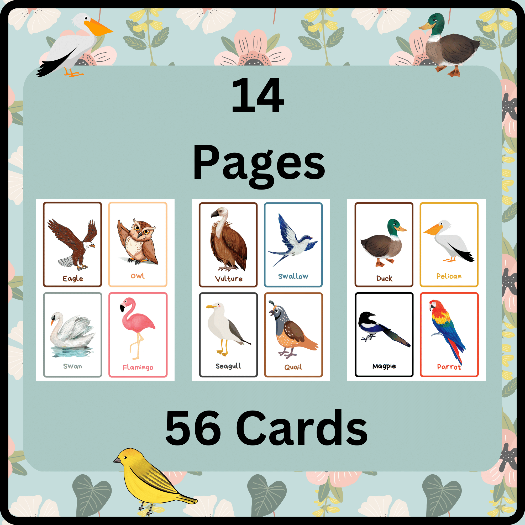 Spring activities printable cute and funny birds identification flashcards made by teachers