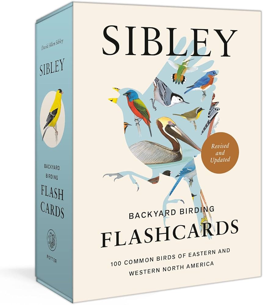 Sibley backyard birding flashcards revised and updated mon birds of eastern and western north america sibley david allen books