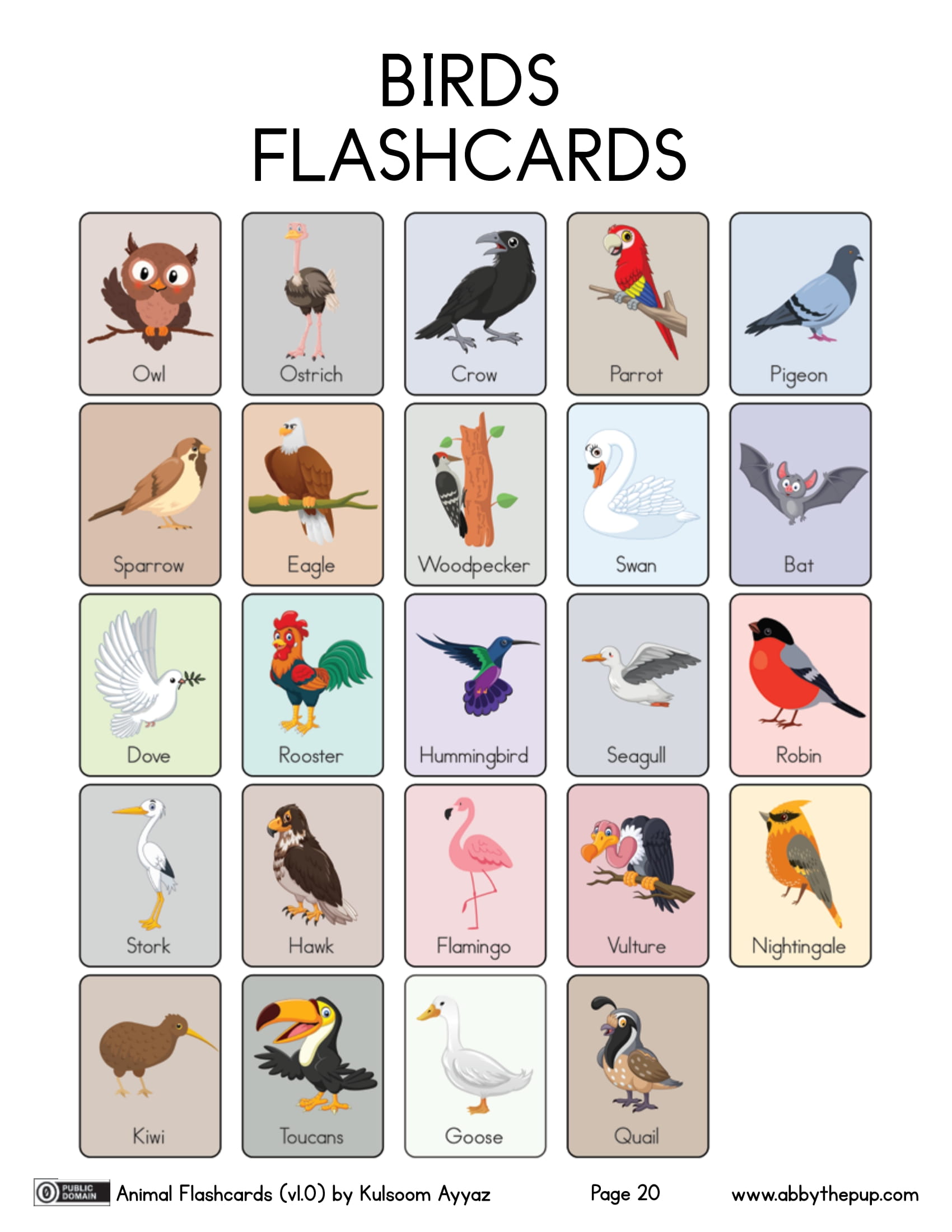 Birds flashcards free printable papercraft templates