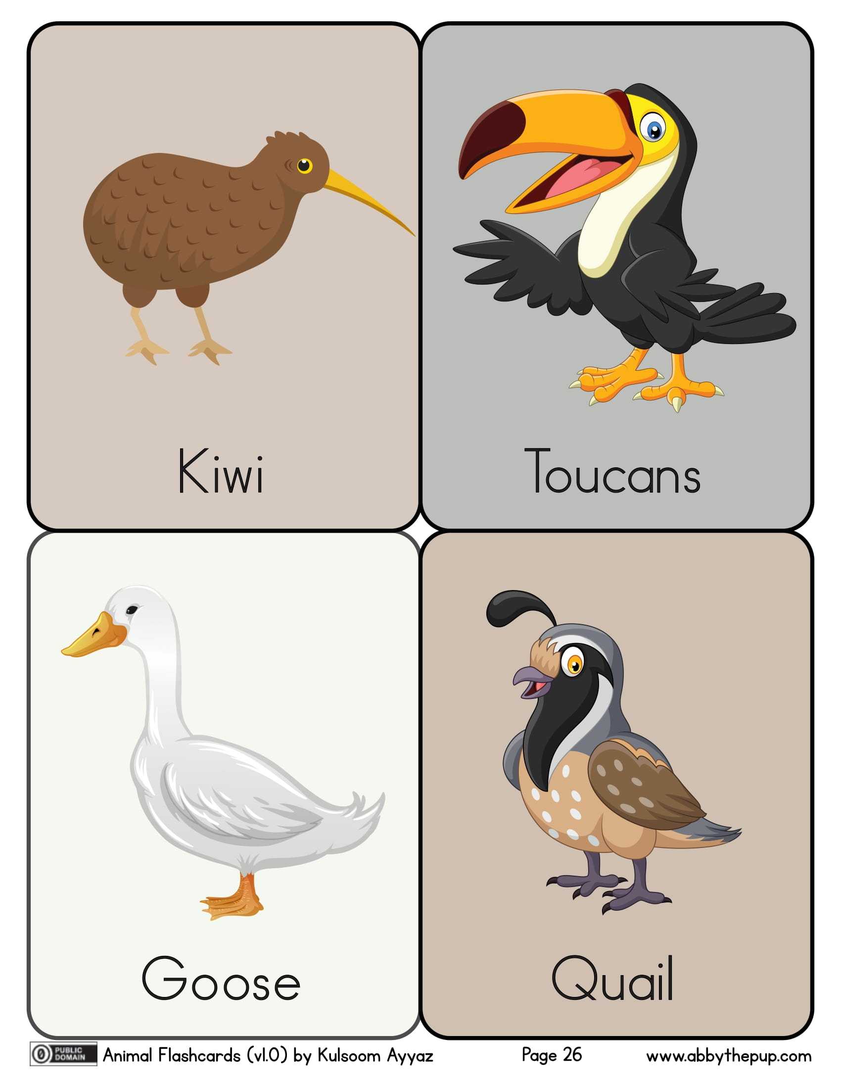 Birds flashcards free printable papercraft templates