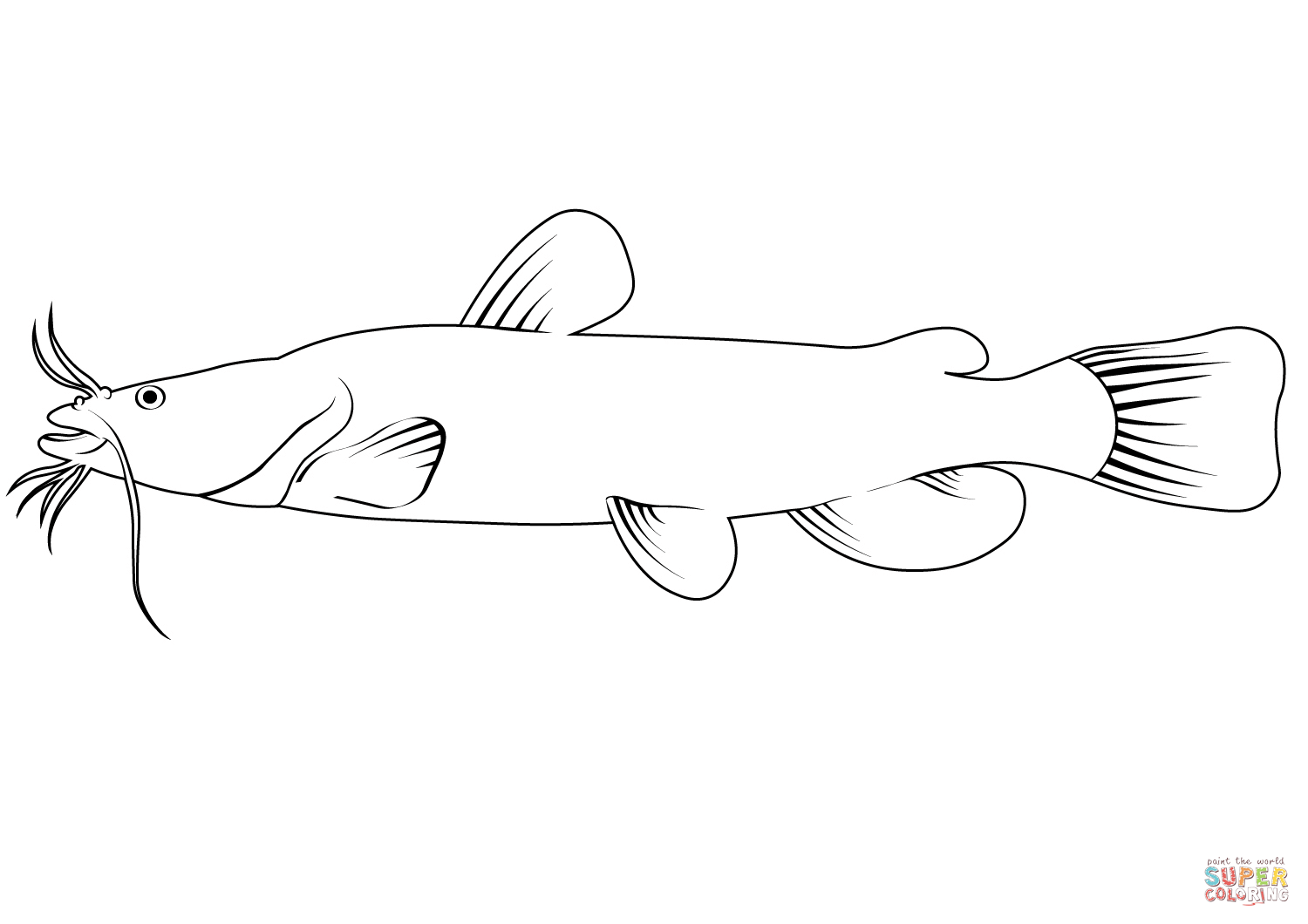 Flathead catfish pylodictis olivaris coloring page free printable coloring pages