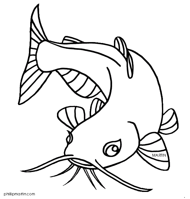 Catfish clip art fish drawings fish coloring page fish art