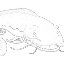 Big fish with splashes coloring page