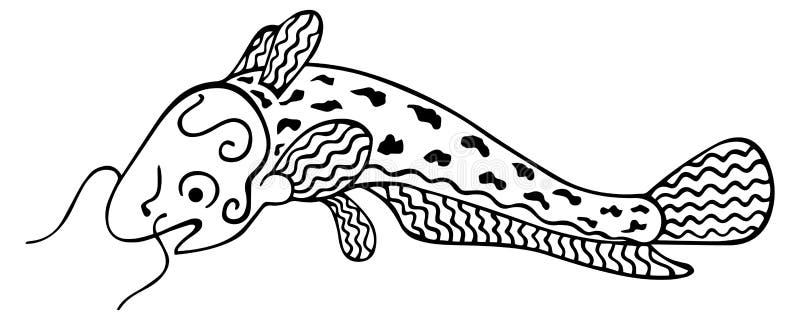 Black and white catfish freshwater scaleless fish for antistress coloring book and tattoo hand