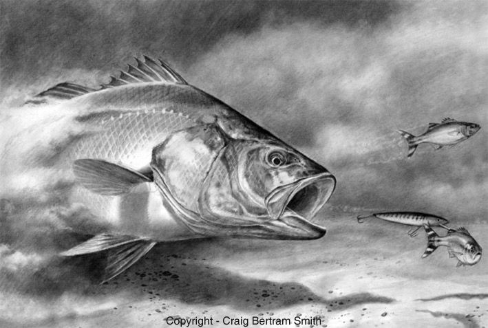 Image result for grayscale coloring page flathead catfish original art grayscale coloring fish drawings