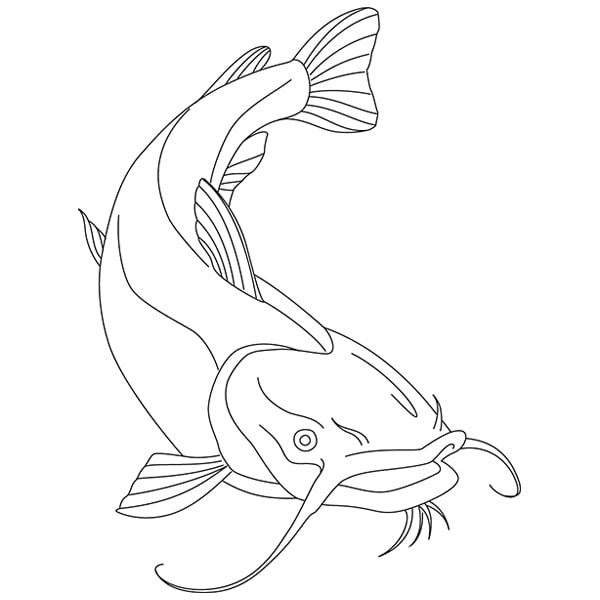 Flathead catfish sketch svg dxf cutting machine laser cutting designs craft genesis