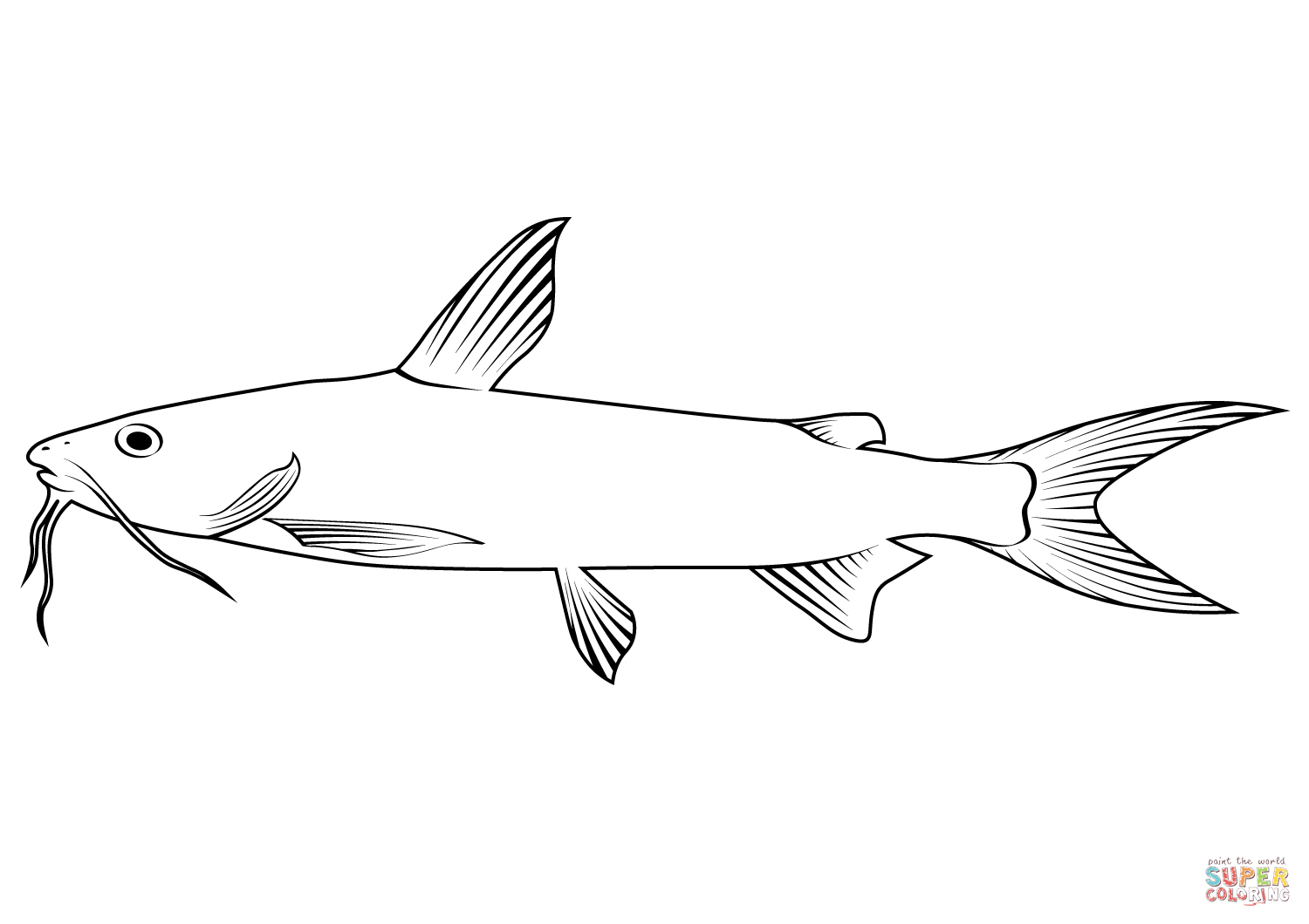 Hardhead catfish ariopsis felis coloring page free printable coloring pages