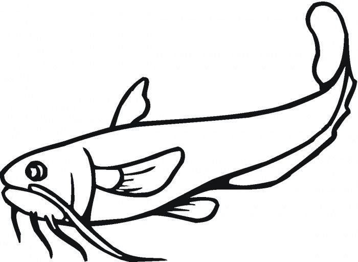 Catfish coloring page supercoloring catfish images catfish fish coloring page