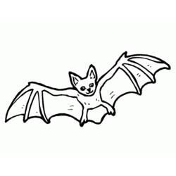 Coloring page bat animals