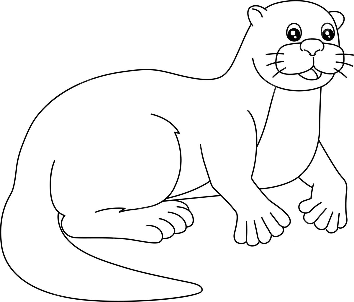 River otter coloring page isolated for kids wild wildlife cute vector wild wildlife cute png and vector with transparent background for free download