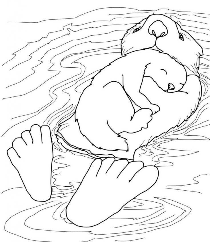 Otter coloring pages