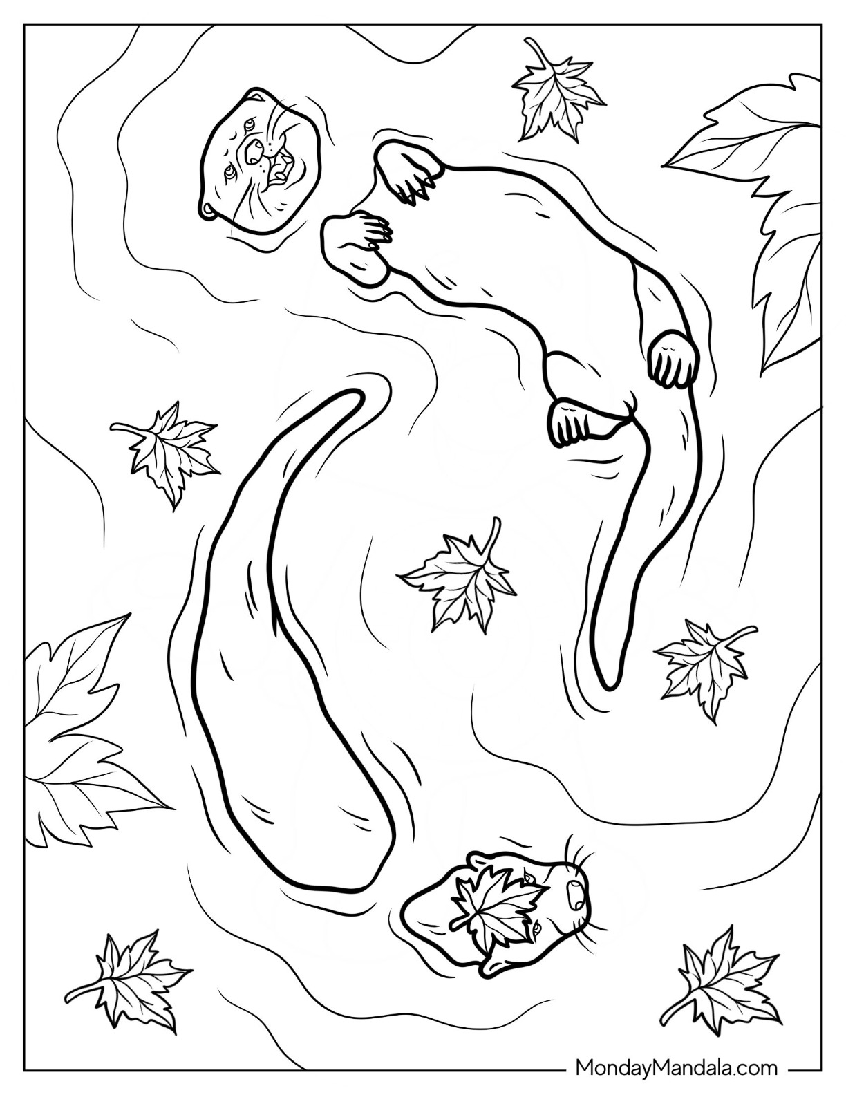 Otter coloring pages free pdf printables