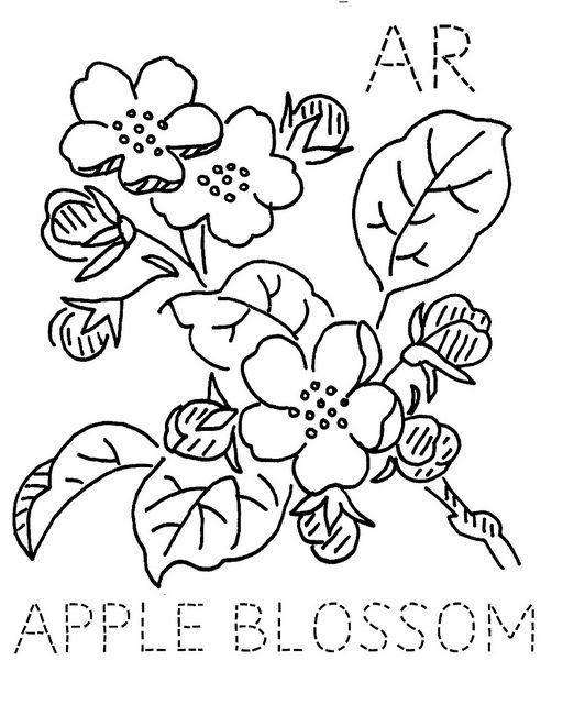 Kansas apple blossom floral embroidery patterns embroidery apple blossom