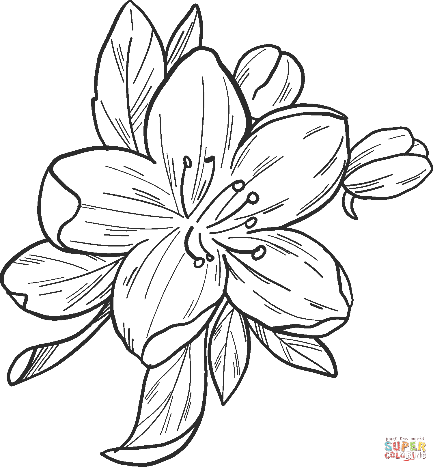 Dibujo de flor de manzana para colorear dibujos para colorear imprimir gratis