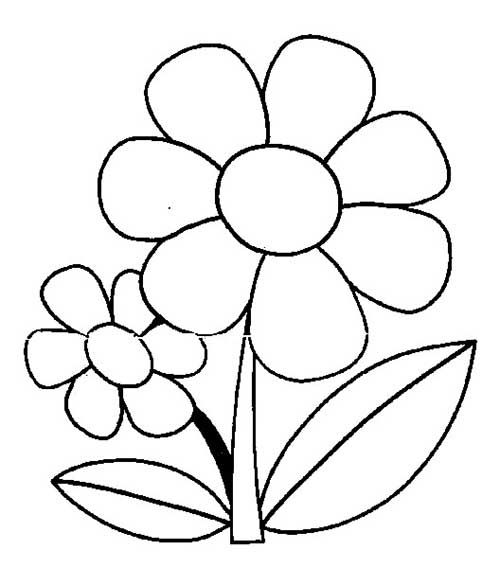 Desenhos de flores para colorir flores para colorir artesanato tinta ãlcool desenhos de flores