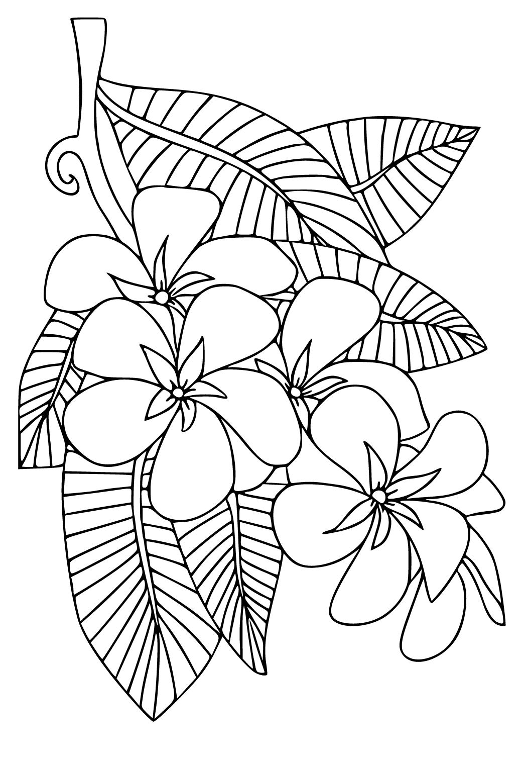 Free printable plant flowers coloring page for adults and kids