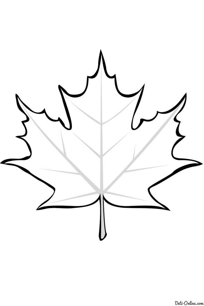 Feuille derable fall leaves coloring pages leaf coloring page leaf template