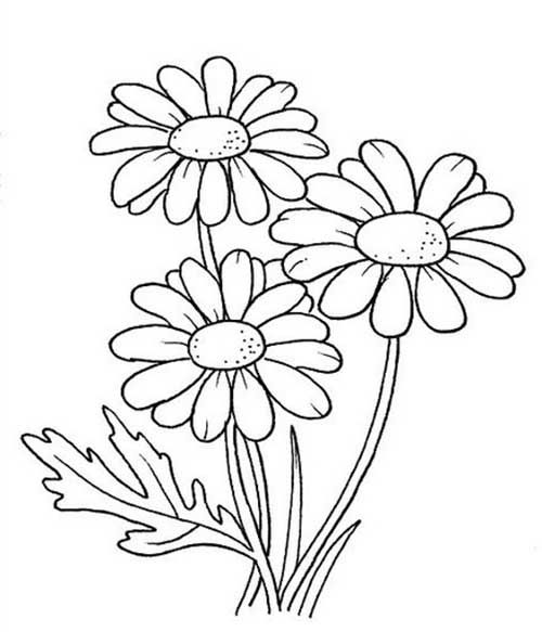 Desenhos de flores para colorirpintar em casa grãtis flower coloring pages flower drawing coloring pages