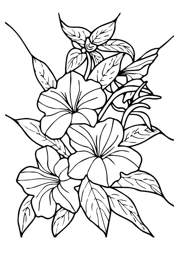 Print coloring image