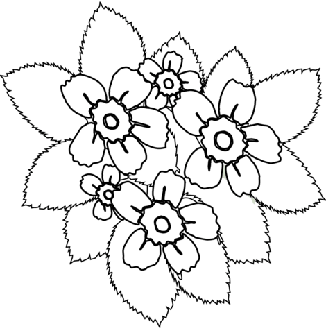 Flowers coloring page free printable coloring pages