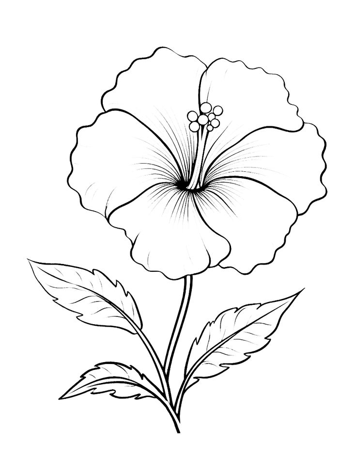 Printable flower coloring pages for kids free printable flower coloring pages flower coloring pages simple flower drawing