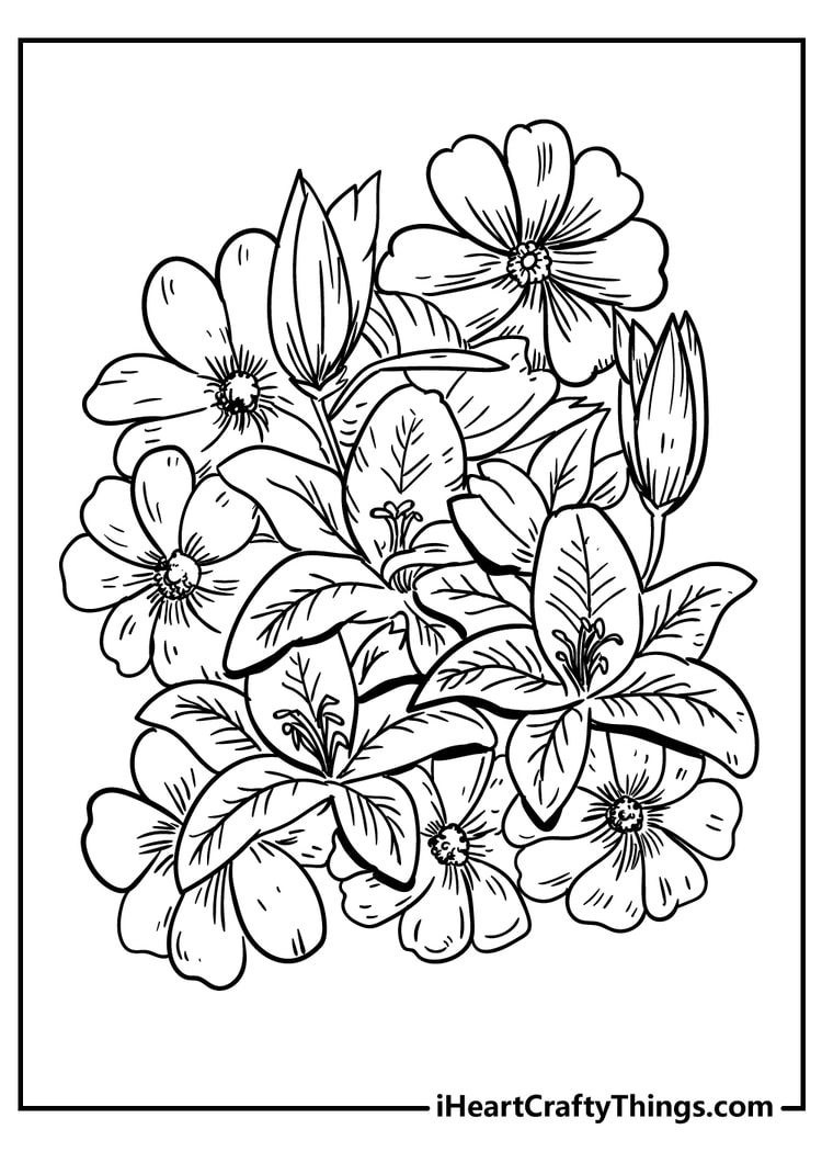 Flower coloring pages free printables