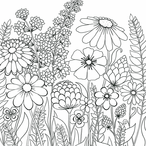 Coloring pages