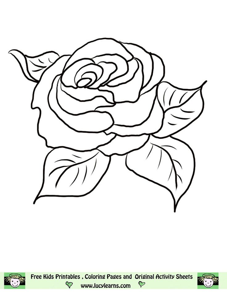 Free printable pictures pages lucy learns free rose coloring picture collection to print rose coloring pages flower coloring pages coloring pages