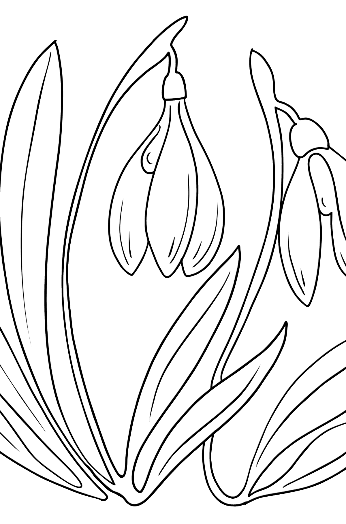 Dibujo de flores de primavera para colorear