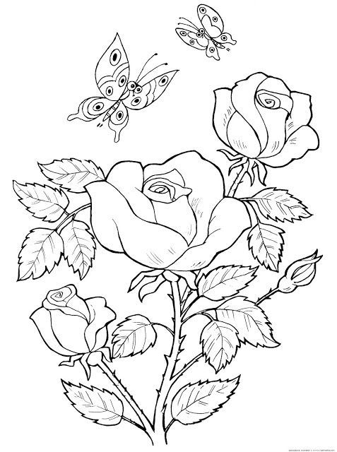 Desenhos de flores para colorir rose coloring pages flower coloring pages butterfly coloring page