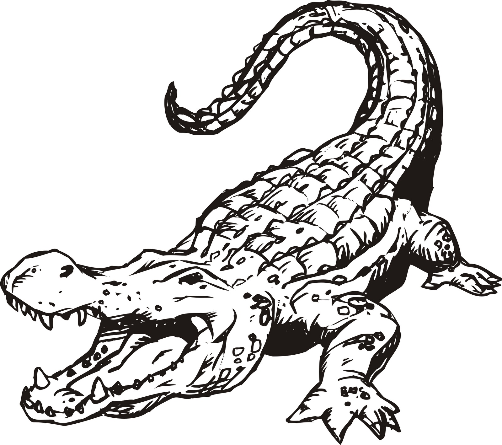 Free printable alligator coloring pages for kids